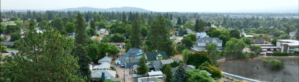 Aerial view of pine trees and homes in North Hill Neighborhood.